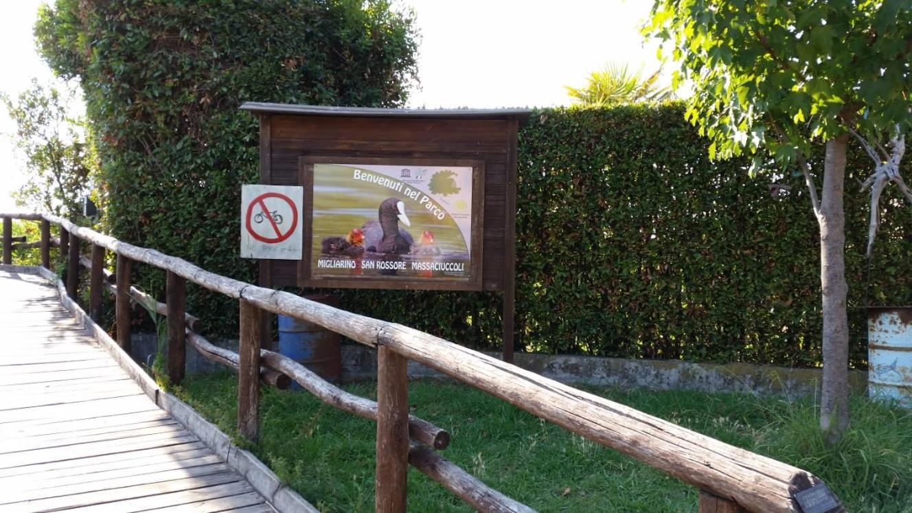 Villa Twetty Massaciuccoli Εξωτερικό φωτογραφία